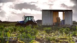 Patrimoines de France