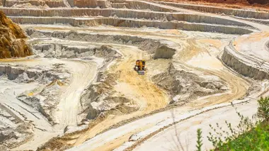 Précieux et délicats