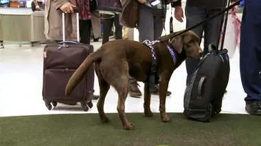 Patrouille frontalière Nouvelle-Zélande