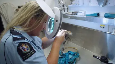 Patrouille frontalière Nouvelle-Zélande