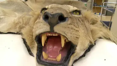 Cannabis Cultivator Jake