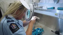 Patrouille frontalière Nouvelle-Zélande Cocaine Users