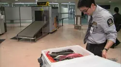 Patrouille frontalière Nouvelle-Zélande Body Packer