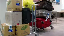 Patrouille frontalière Nouvelle-Zélande  Argie Bargie