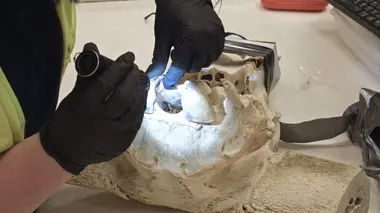 Patrouille frontalière Nouvelle-Zélande