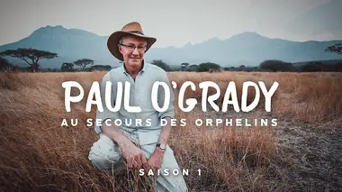 Paul O'Grady, au secours des orphelins