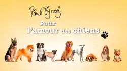 Paul O'Grady, pour l'amour des chiens