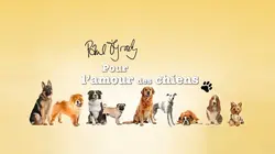 Paul O'Grady, pour l'amour des chiens