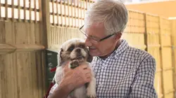 Paul O'Grady, pour l'amour des chiens