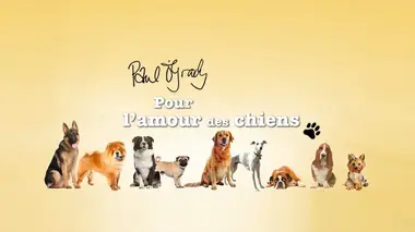 Paul O'Grady, pour l'amour des chiens