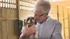 Paul O'Grady, pour l'amour des chiens