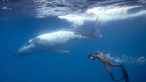 Paul Watson - Une vie pour les océans