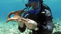 Visuel de Pavlopetri, la cité engloutie