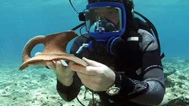 Pavlopetri, la cité engloutie L'archéologie sous-marine en 3D