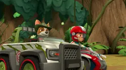 Paw Patrol, la Pat'Patrouille S05E13 Un éléphant en colère