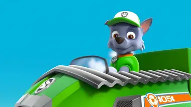 La course de planches à voile