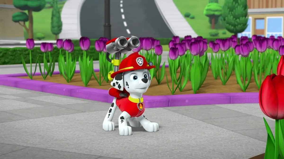Paw Patrol, la Pat'Patrouille S03E16 Les tulipes