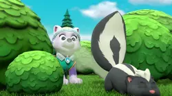 Paw Patrol, la Pat'Patrouille S03E20 La moufette en streaming