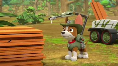 Le retour des chiens-sirènes