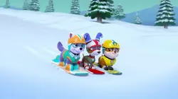 Paw Patrol, la Pat'Patrouille S03E22 Première neige en streaming