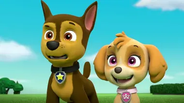 Le spectacle des chats