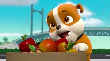 Des bébêtes en vadrouille