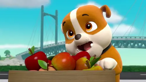 Paw Patrol, la Pat'Patrouille S04E03 La partie de cache-cache