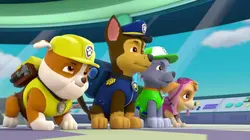 Paw Patrol, la Pat'Patrouille S04E05 Un abri pour la nuit en streaming
