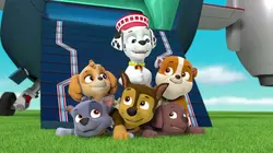 Paw Patrol, la Pat'Patrouille S04E10 Mission Secrète : Le trône royal en streaming