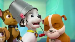 Paw Patrol, la Pat'Patrouille S04E11 Le grand singe en streaming