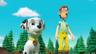 Le petit chat perché