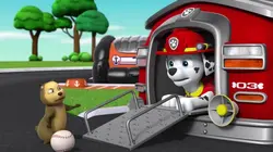 Paw Patrol, la Pat'Patrouille S04E14 La machine à rétrécir en streaming