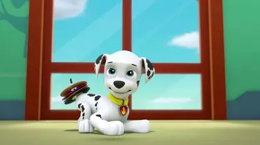 La Pat' Patrouille sauve Galinetta