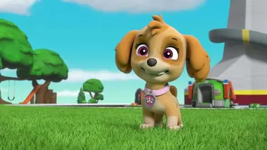 François et le bébé Gorfou