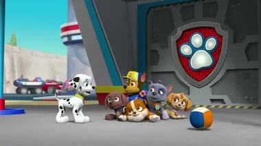 La Pat' Patrouille des mers sauve l'épave d'un bateau