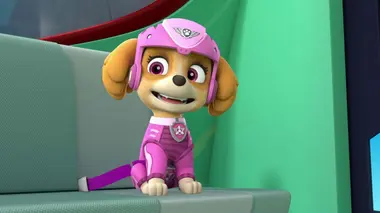 Un essaim de papillons