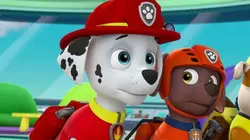 Paw Patrol, la Pat'Patrouille S05E12 Une balade en raquettes