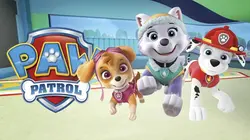 Paw Patrol, la Pat'Patrouille S05E18 Mission secrète : les amis de la princesse