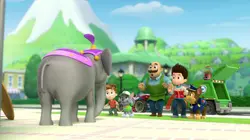 Paw Patrol, la Pat'Patrouille S01E13 Le cirque en streaming