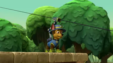 Des pingouins dans la jungle