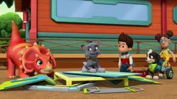 Paw Patrol, la Pat'Patrouille S07E08 Un brachiosaure dans la grande vallée en streaming