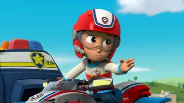 A la recherche du bébé kangourou