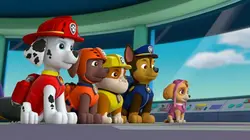 Paw Patrol, la Pat'Patrouille S05E15 Sauvons les tortues !