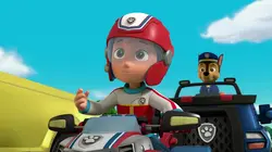 Paw Patrol, la Pat'Patrouille S08E01 Galinetta et Roucoco