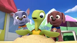 Paw Patrol, la Pat'Patrouille S01E02 Les Bébés tortues de mer en streaming