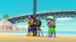 Paw Patrol, la Pat'Patrouille S03E14 Le festival de cinéma en streaming