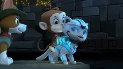 Paw Patrol, la Pat'Patrouille S09E04 Catpack super chats : Le rugissement du chat / Catpack super chats : Le coffre-fort de Madame Goodway en streaming