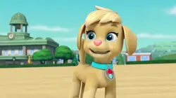 Paw Patrol, la Pat'Patrouille S09E13 La super patrouille : L'anguille géante / Mission secrète : La calèche royale