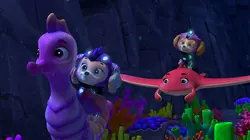 Paw Patrol, la Pat'Patrouille S09E20 L'Aqua Patrouille : Le vieux sous-marin / L'Aqua Patrouille : Le calamar argenté en streaming