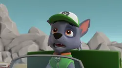 Paw Patrol, la Pat'Patrouille S10E01 Leçon de ski nautique / L'assistant de Monsieur Hellinger en streaming